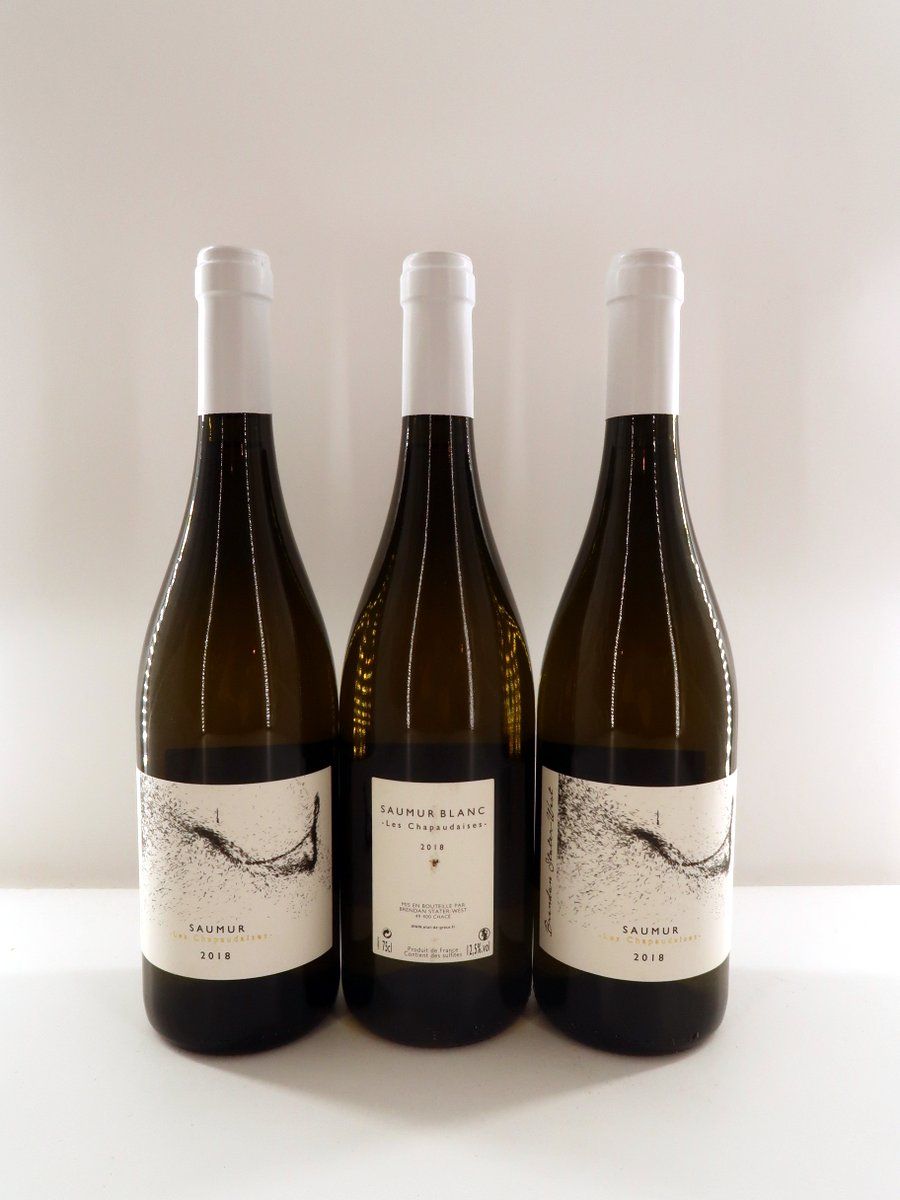 2018 Saumur Les Chapaudalser Brendan Stater West