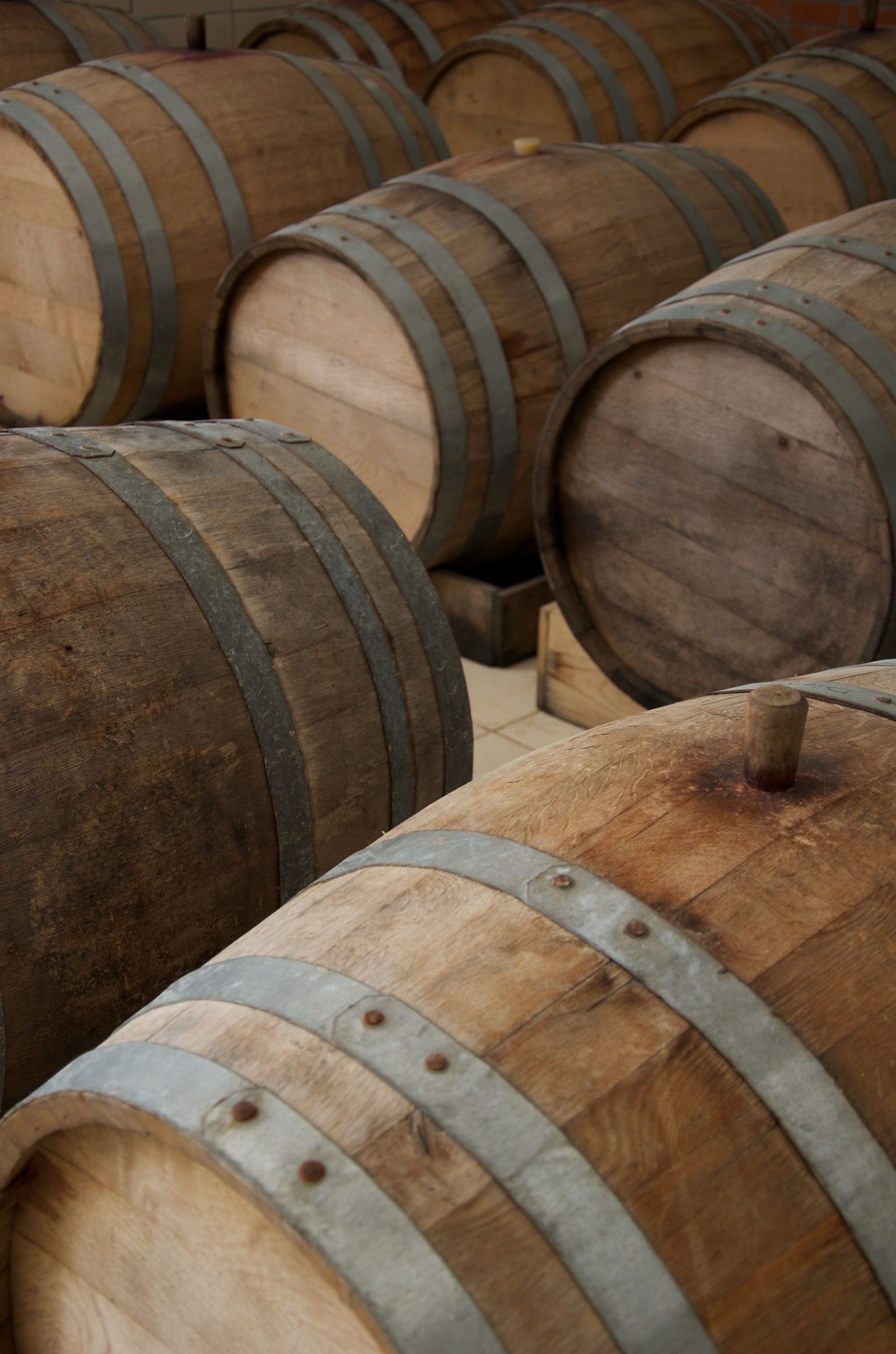 Große Holzfässer in einer Reihe für Wein- oder Bierlagerung.