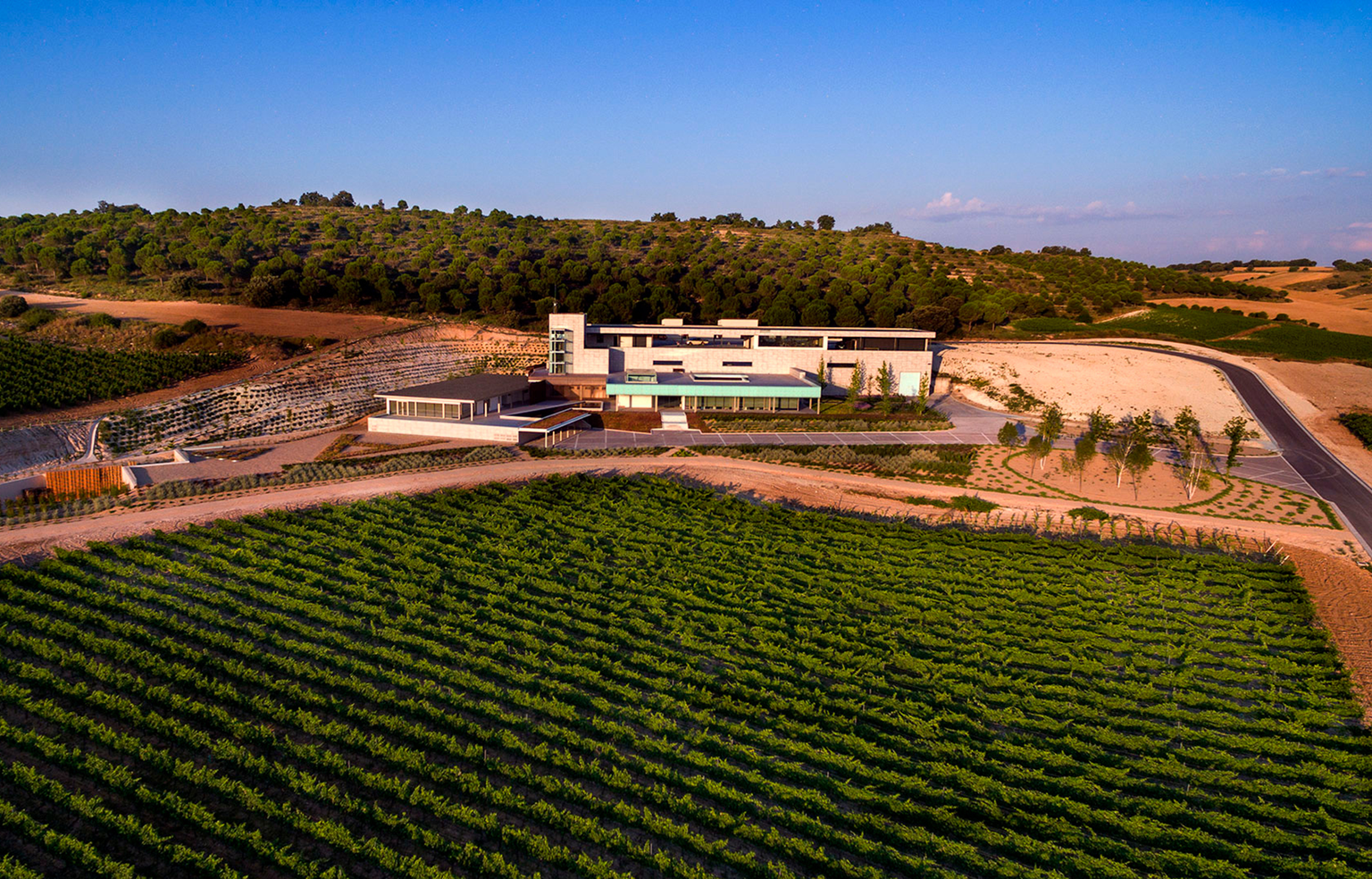 Moderne Villa mit Blick auf weitläufige, gepflegte Weinberge und grüne Hügel.